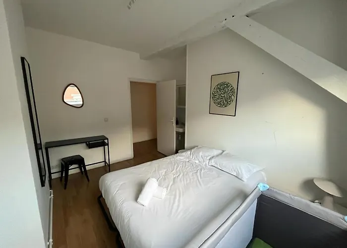 Nocnoc - Le Grand National *